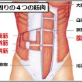 腹筋を割るなら知っておきたい4つのお腹の筋肉