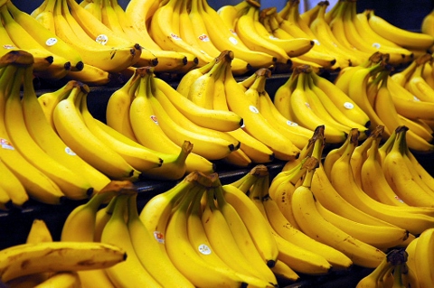 腸内環境の改善がバナナダイエットで痩せる理由
