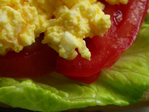 朝食抜きは筋肉のタンパク質分解を進めてしまう
