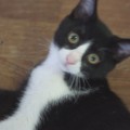 腹筋トレーニングはやりすぎると猫背の可能性