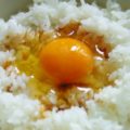 目を覚ます朝食は卵かけご飯と豚汁の組み合わせ