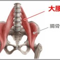 大腰筋のトレーニングに最適な骨盤ウォーキング