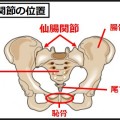 仙腸関節による腰痛はインナーマッスルで治る