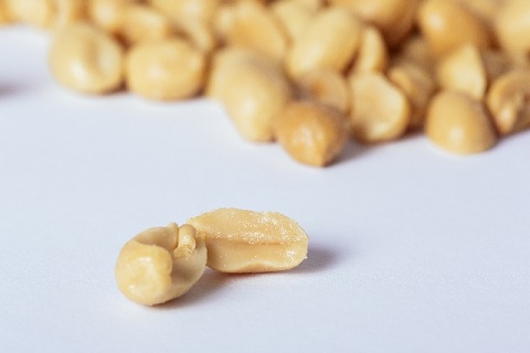 ピーナッツの効果で長生きする目安は1日20粒