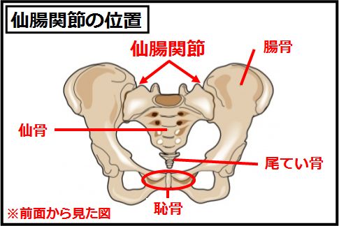 仙腸関節ストレッチで腰痛治療するAKA-博田法