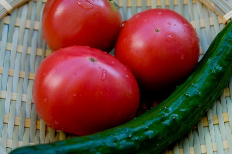 野菜のダイエット効果は食物繊維とビタミンB