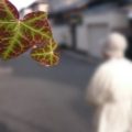 アミロイドβを掃除する食材で認知症を予防する