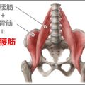 腸腰筋ストレッチでぽっこりお腹を即解消