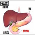 膵臓の位置は肋骨の下！直接マッサージできる