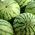 手足の冷えにはスイカの白い部分を食べるとよい